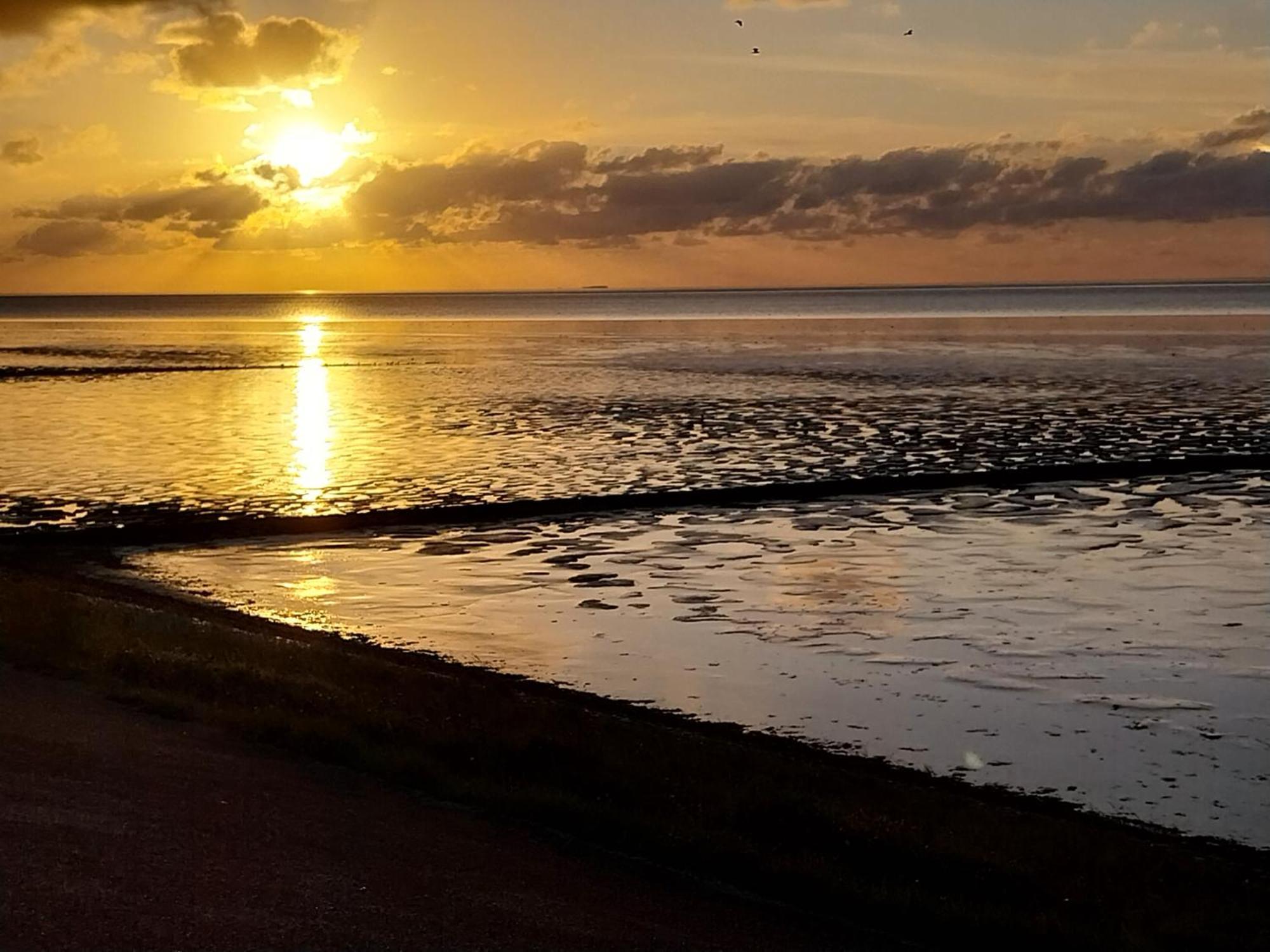 Wad Fijn Sexbierum Exterior foto
